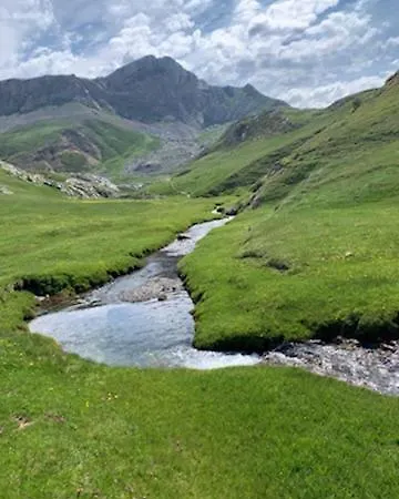 Calme Et Nature En Bord De Gave *
