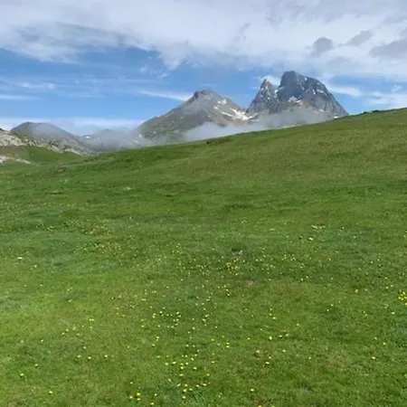 Calme Et Nature En Bord De Gave *